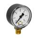 Watts RF Manometer 0-6 bar �50mm Anschluss unten 1/4\